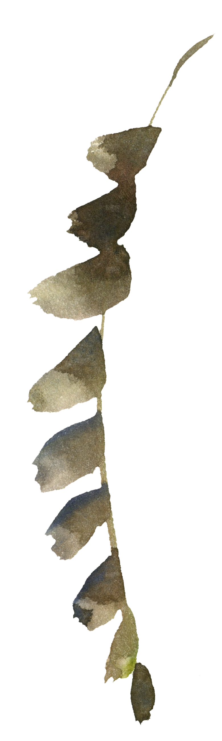 简约大气手绘仙人掌花卉PNG素材