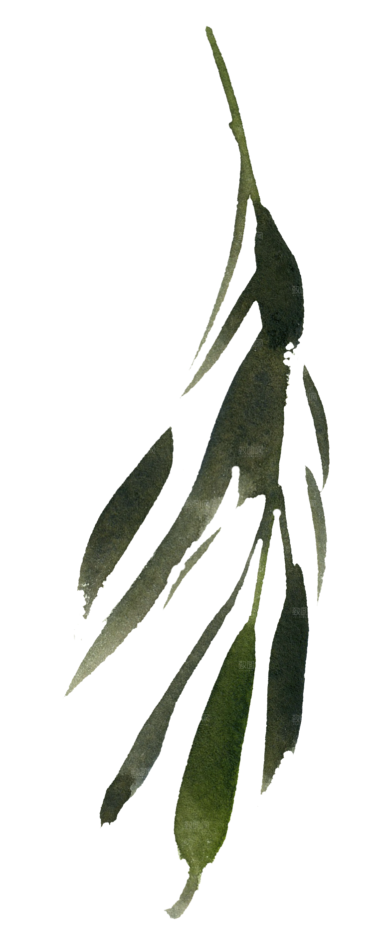 简约大气手绘仙人掌花卉PNG素材