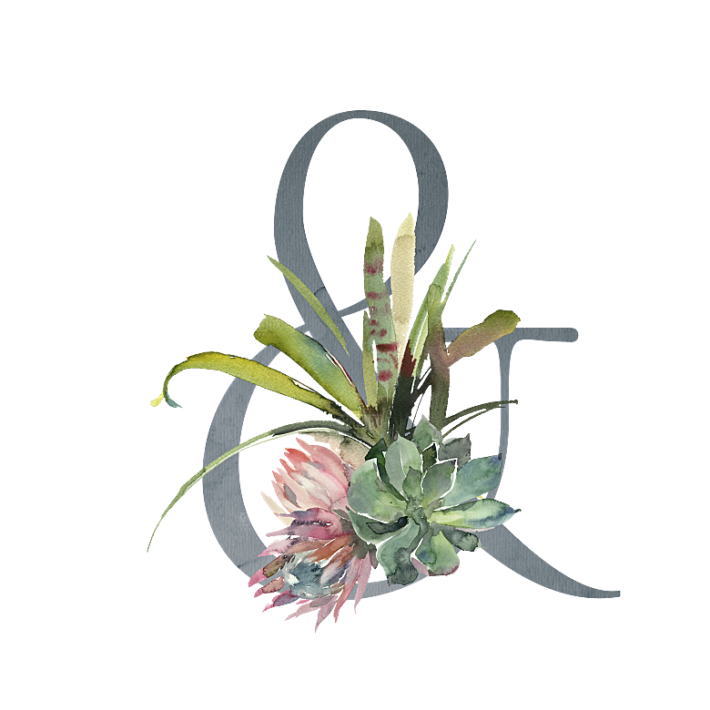 文艺手绘仙人掌植物设计素材