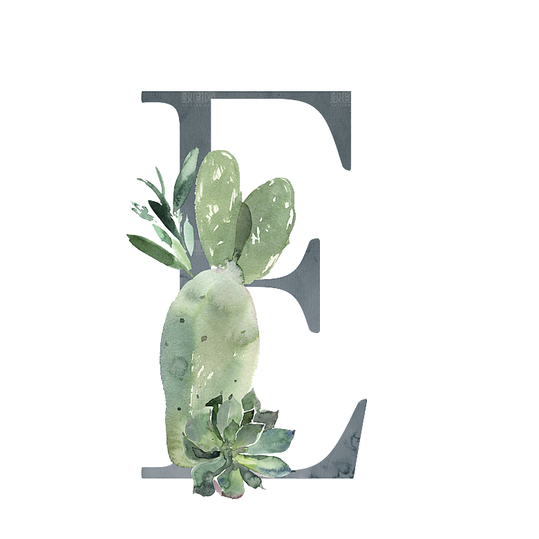 文艺手绘仙人掌植物设计素材