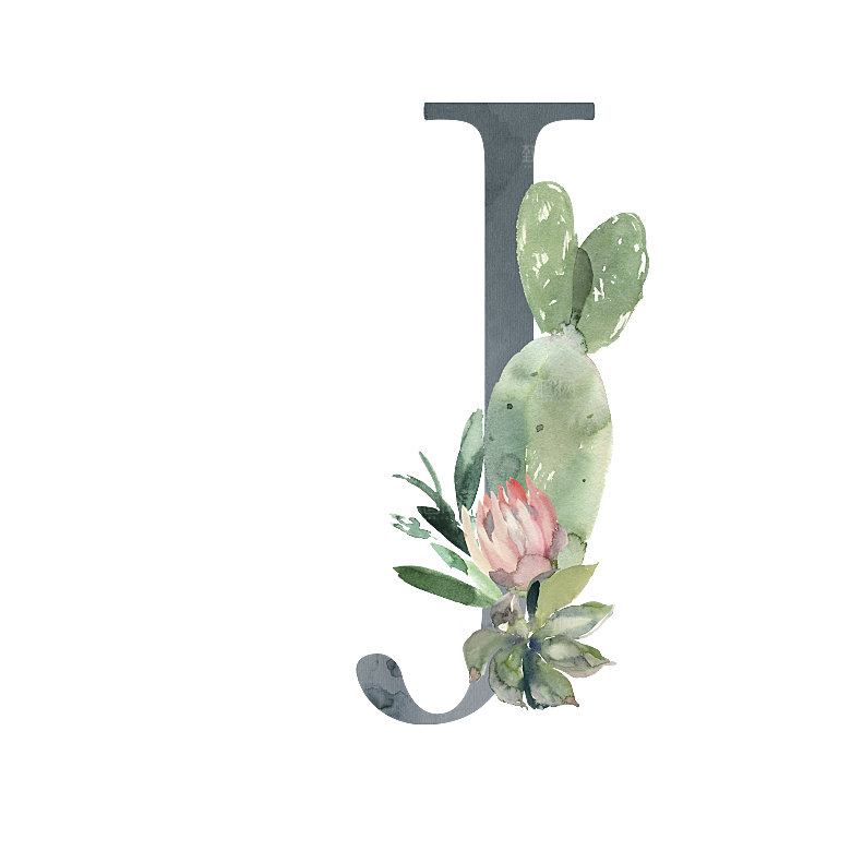 数字仙人掌花卉植物设计素材