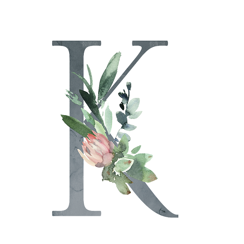 数字仙人掌花卉植物设计素材
