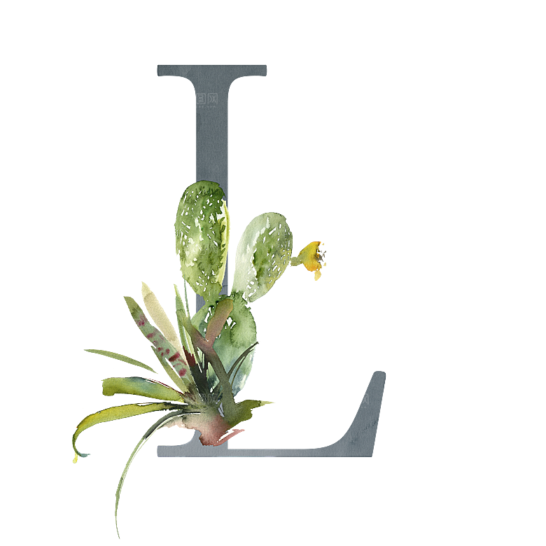 数字仙人掌花卉植物设计素材