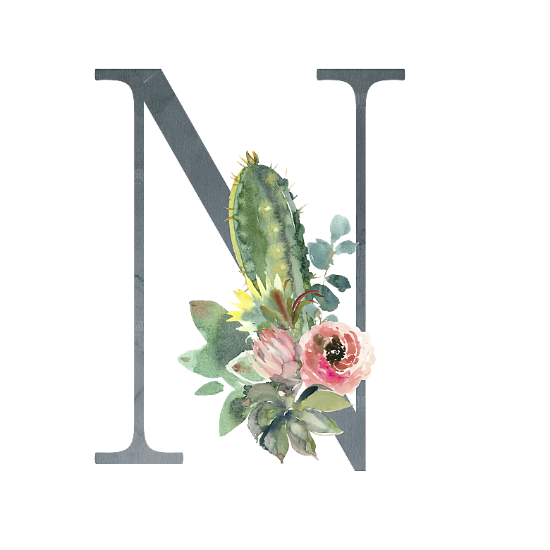 数字仙人掌花卉植物设计素材