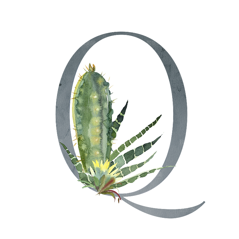 数字仙人掌花卉植物设计素材