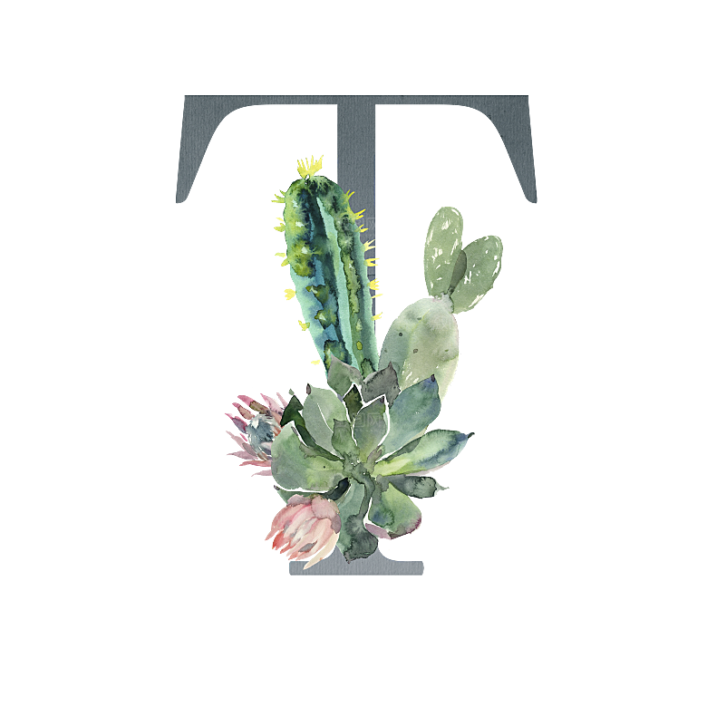 数字仙人掌花卉植物设计素材