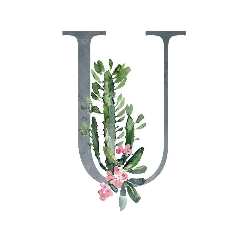 数字仙人掌花卉植物设计素材