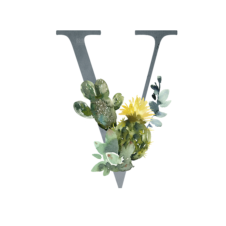 数字仙人掌花卉植物设计素材