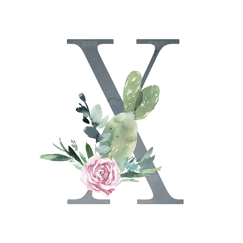 数字仙人掌花卉植物设计素材