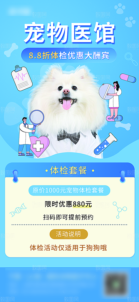 宠物店宠物美容手机海报