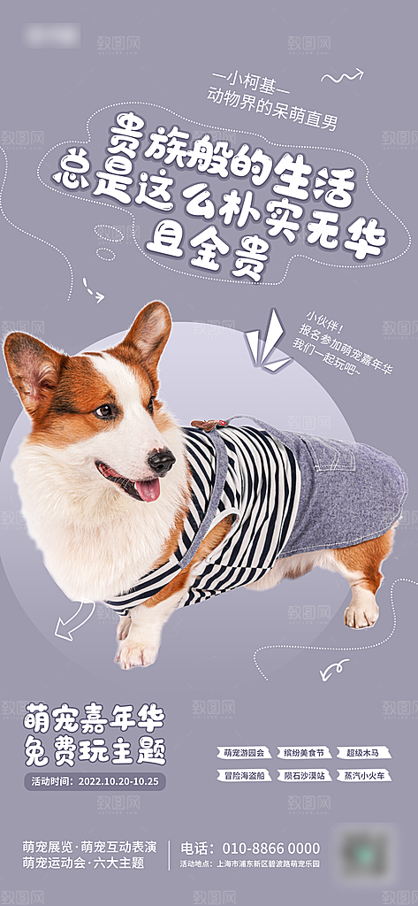 宠物店宠物美容手机海报