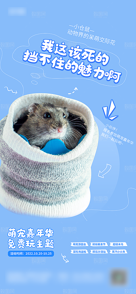宠物店宠物美容手机海报
