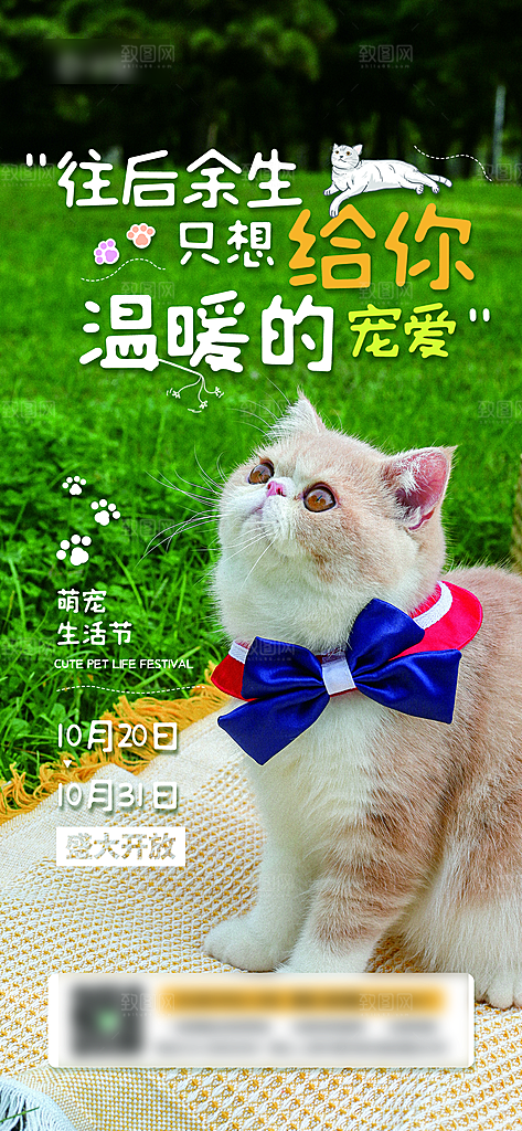 宠物店宠物美容手机海报
