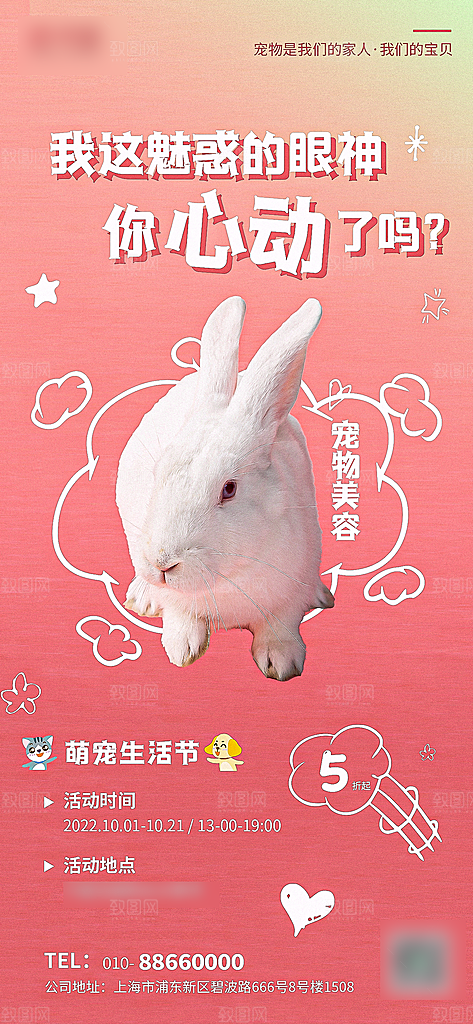 宠物店宠物服务手机海报