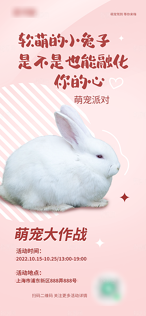 宠物店宠物服务手机海报