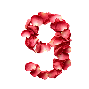 粉红色玫瑰花瓣数字9素材
