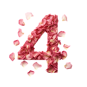 粉红色玫瑰花瓣数字4素材