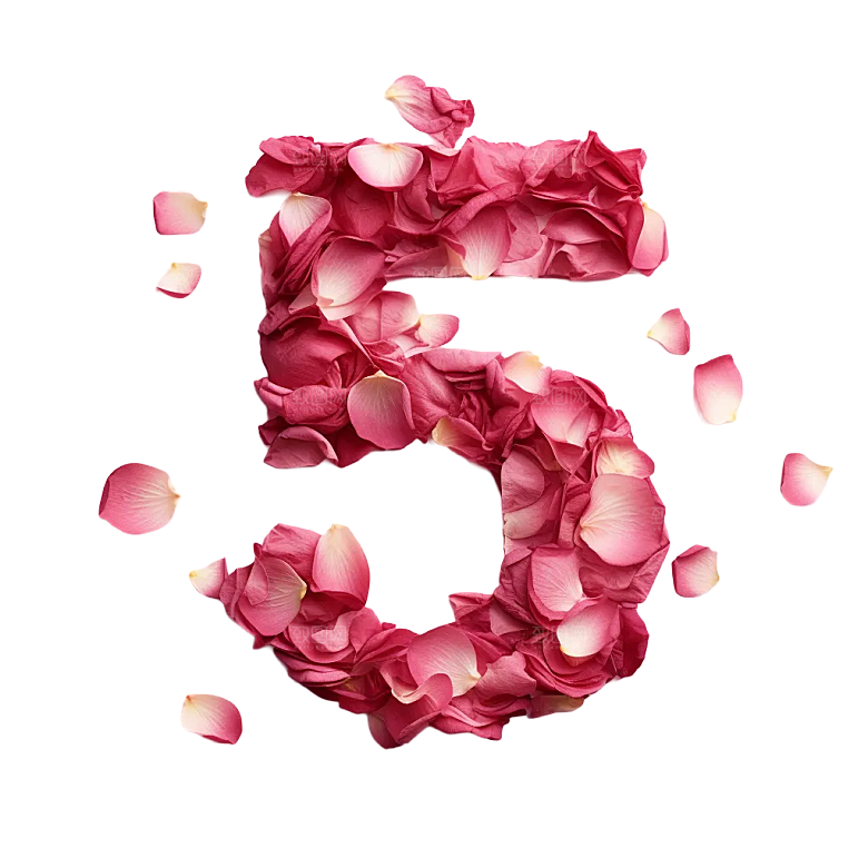 粉红色玫瑰花瓣数字5素材
