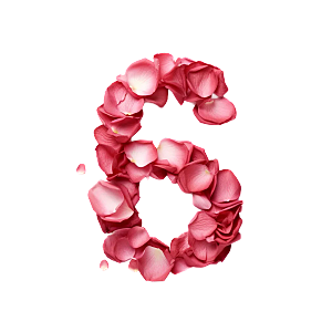 粉红色玫瑰花瓣数字6素材