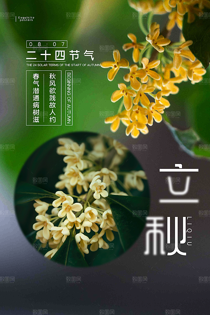 二十四24节气稻谷成熟立秋宣传节日海报