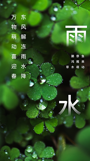 清新雨水传统节气摄影图海报