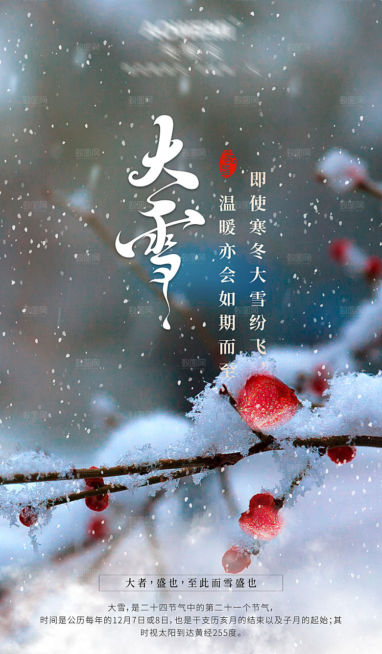 二十四节气大雪节气海报