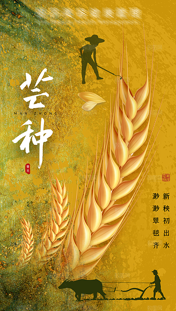 二十四节气芒种海报