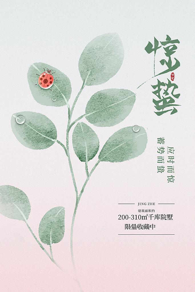简约中国风春天春季传统节气惊蛰节气