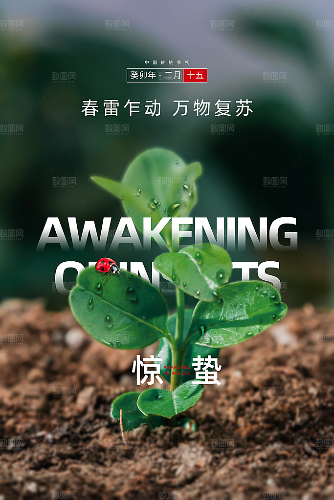 惊蛰推广宣传海报