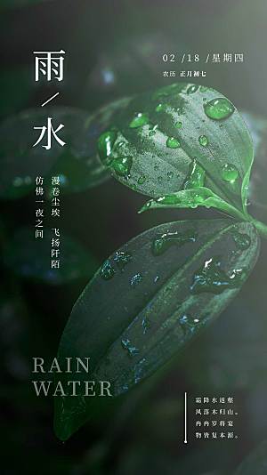 清新简约文艺雨水节气摄影图海报