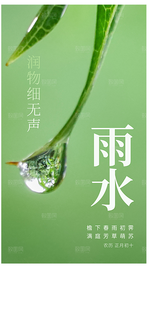 雨水节气摄影图海报