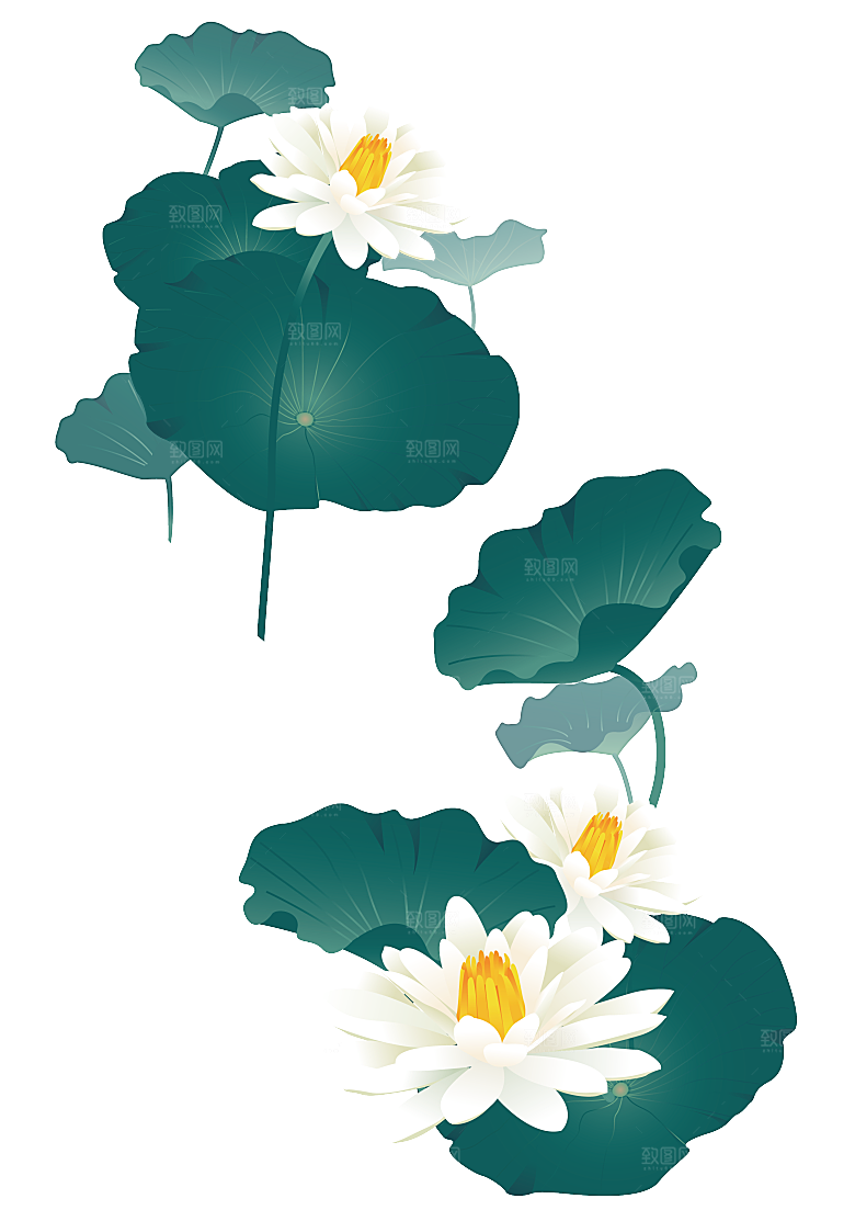 免抠植物绿植荷花插画元素