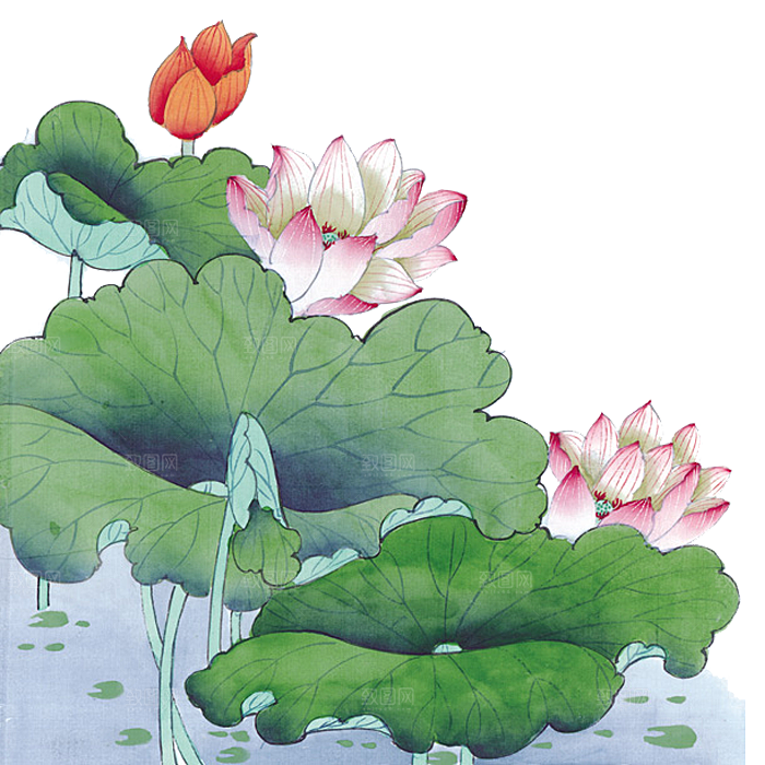 免抠植物绿植荷花插画元素