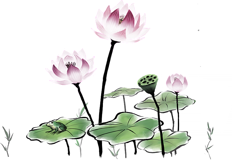 免抠植物绿植荷花插画元素