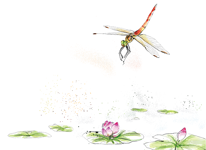 免抠植物绿植荷花插画元素