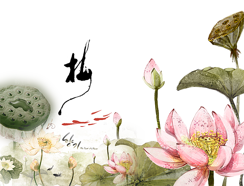 免抠植物绿植荷花插画元素