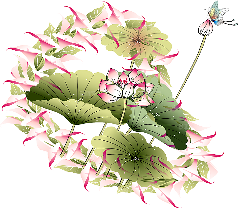 免抠植物绿植荷花插画元素
