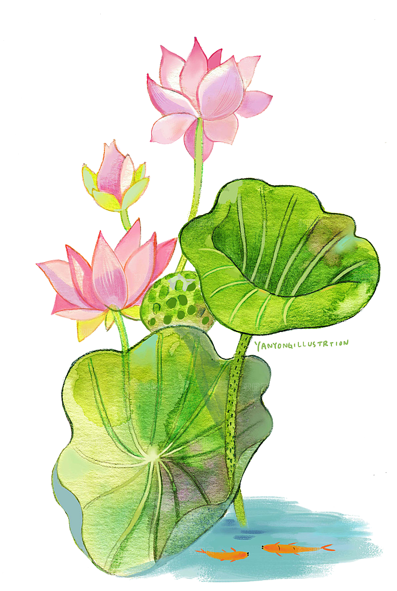 免抠植物绿植荷花插画元素