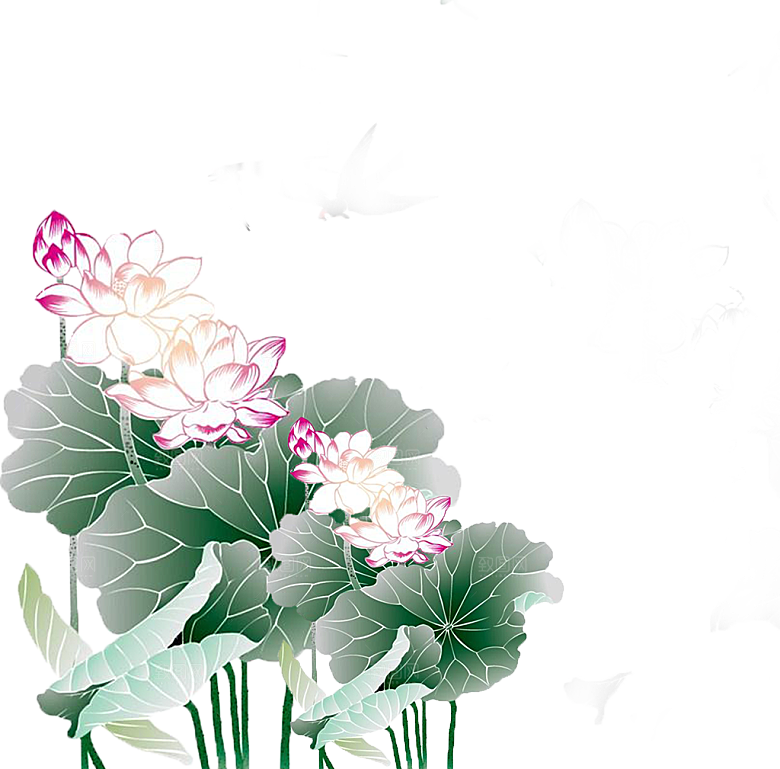 免抠植物绿植荷花插画元素