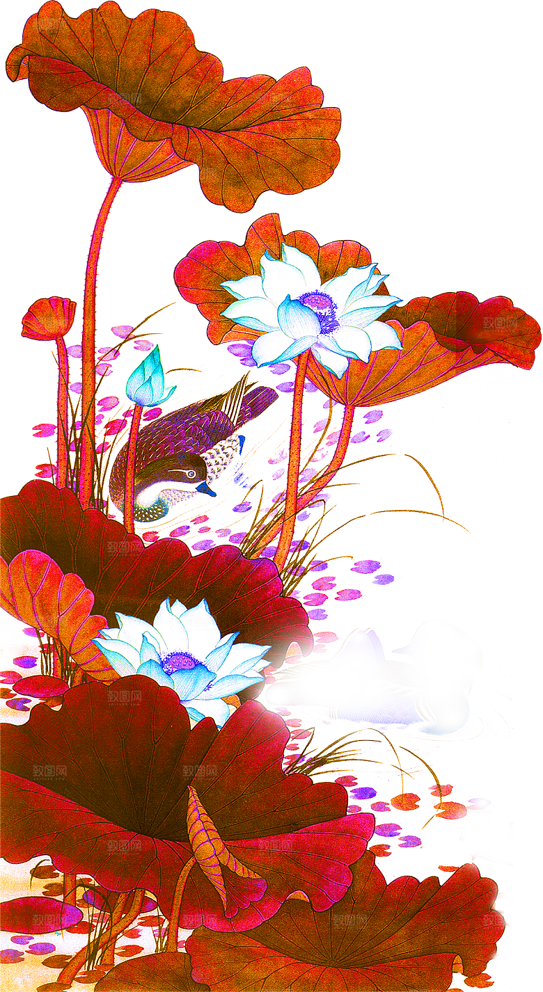 免抠植物绿植荷花插画元素