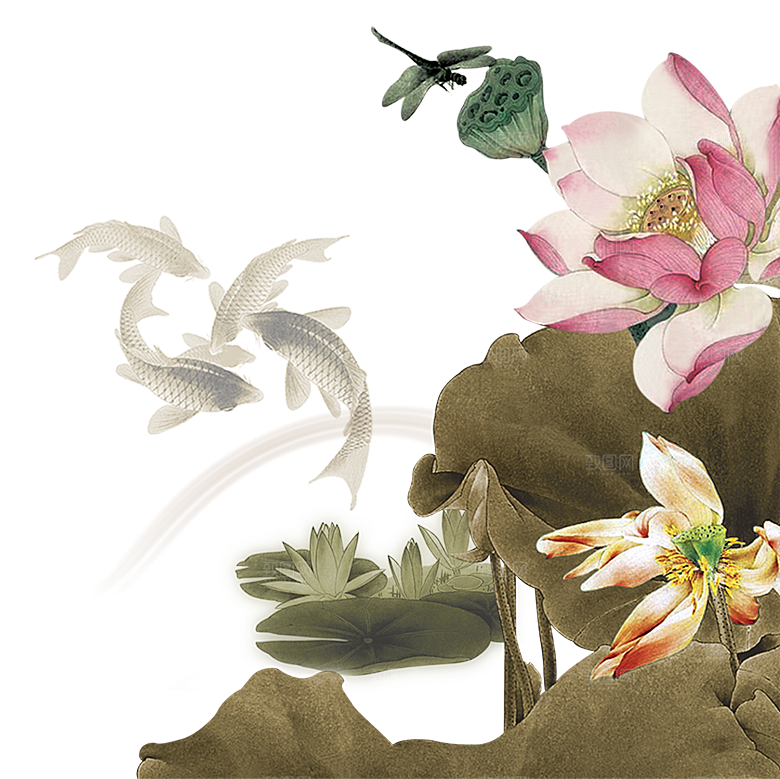 免抠植物绿植荷花插画元素