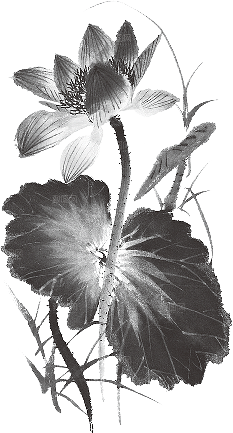 免抠植物绿植荷花插画元素