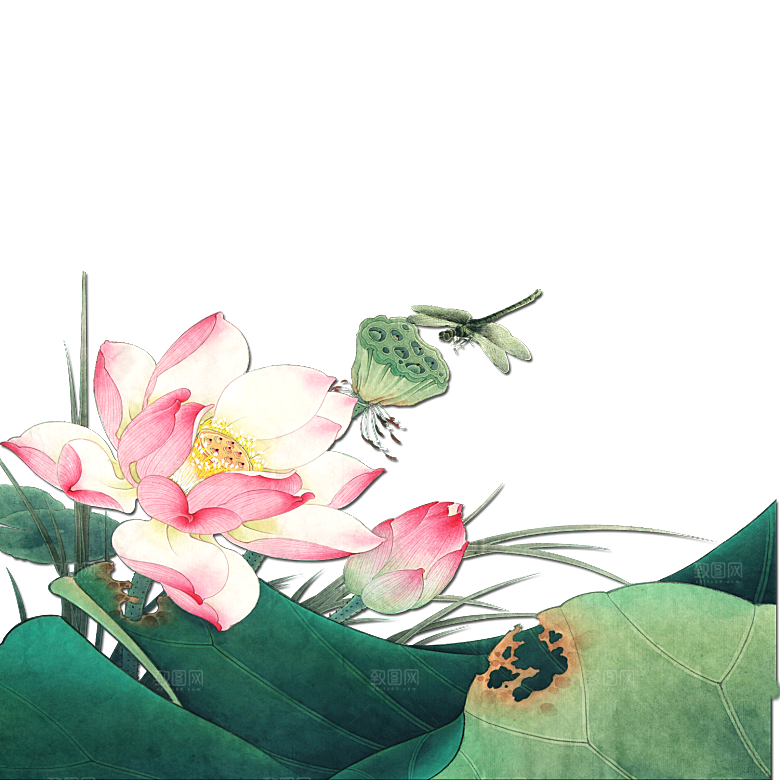 免抠植物绿植荷花插画元素