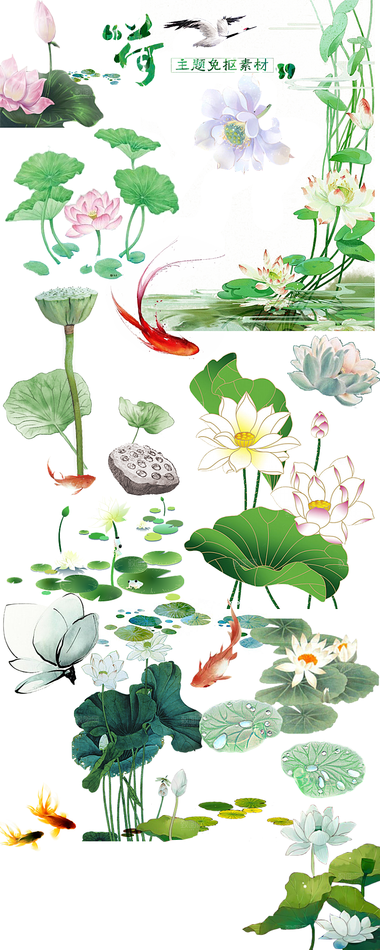 免抠植物绿植荷花插画元素