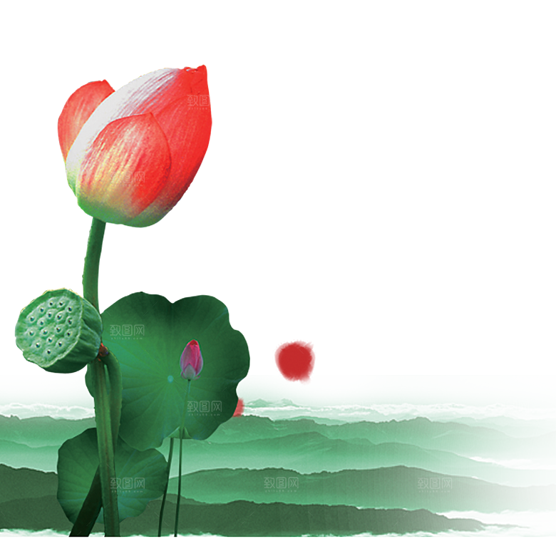 免抠植物绿植荷花插画元素