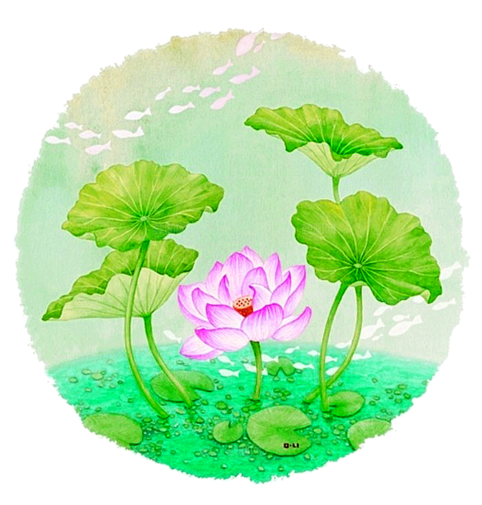 免抠植物绿植荷花插画元素