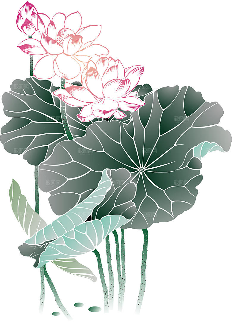 免抠植物绿植荷花插画元素