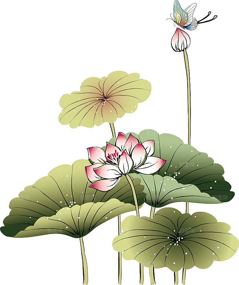免抠植物绿植荷花插画元素