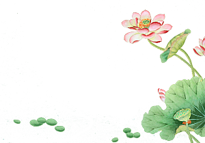 免抠植物绿植荷花插画元素