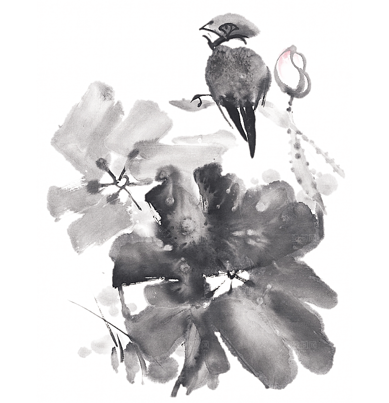 免抠植物古风花草插画元素
